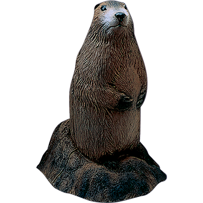 Woodchuck Backyard 3D Target 20"x15"